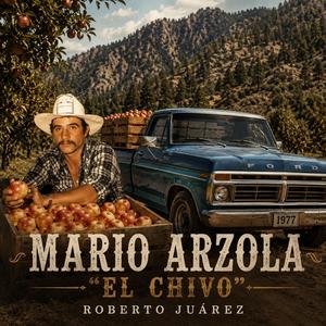Mario Arzola