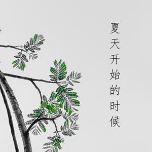 夏天开始的时候