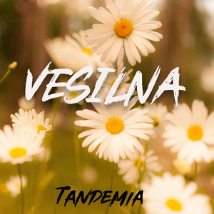 Vesilna