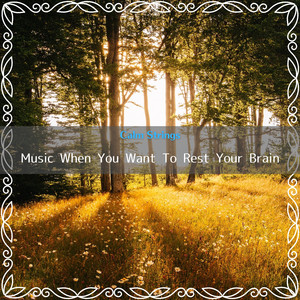 Reflections on Silent Thoughts