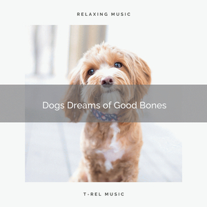 Calm down Doggie and Be Good with Relaxing Music