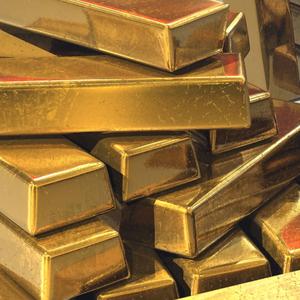 My Guinea Pig Is A Stripper