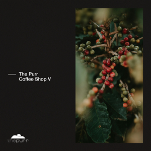 Spectrum (Dio S Remix)