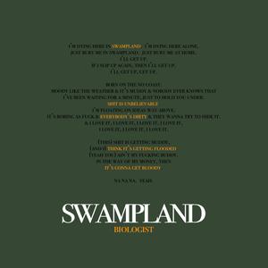 Swampland