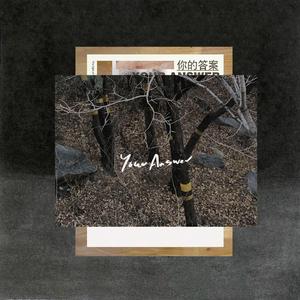 阿冗-你的答案（Mc_Lei remix）