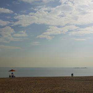 早教音乐.花落 (电钢琴)