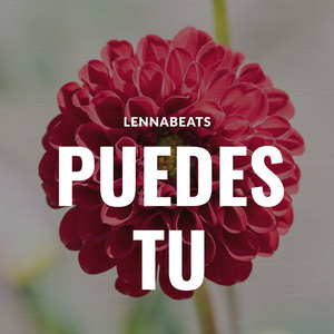 Puedes tu