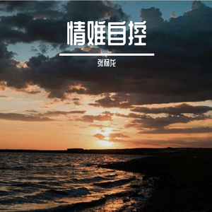 情难自控 Guitar Ver.