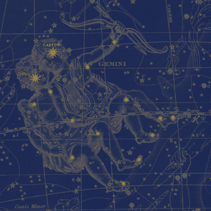 We Are in the Trenches