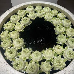 晚风递来的信.mp3