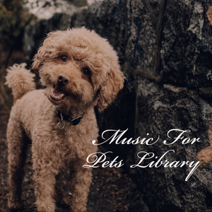 Dogs Music Therapy