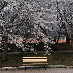 明明（深爱着你）吉他弹唱