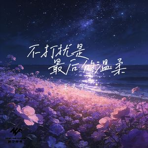 不打扰是最后的温柔