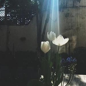 爱你老己 (Y Remix)