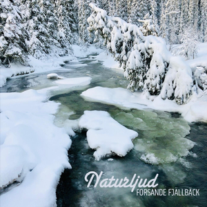 Forsande fjällbäck