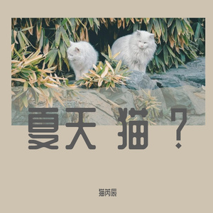 爱就一个字【天亮s吉他】with问号