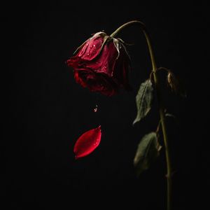 unhealthy relationship