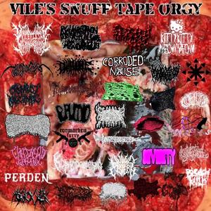 Saccharomyces Cerevisiae