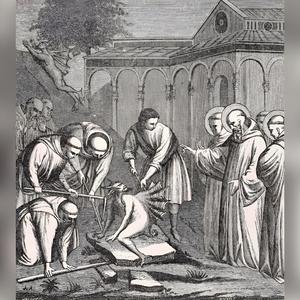 DÄMONISCHE TRIEBE
