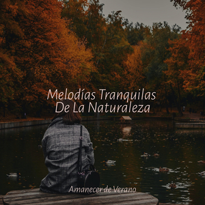 Confianza Sin Límites