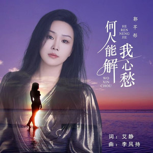 何人能解我心愁 (伴奏)