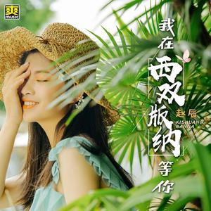 我在西双版纳等你