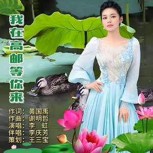 我在高邮等你来