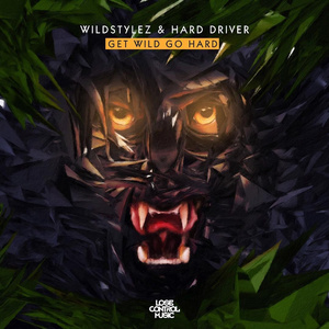 Get Wild Go Hard (Extended Mix)