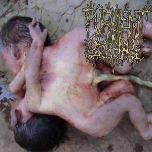 Testicular Mastication (DEMO 2021)