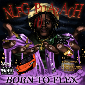 Flexaholic