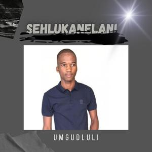 Sehlukanelani