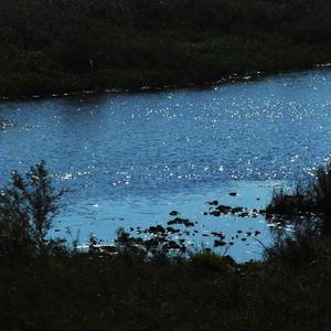 傍晚的休闲时刻