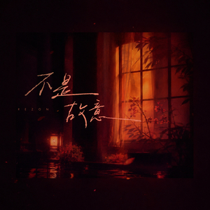 不是故意