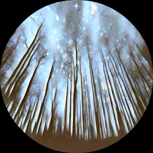 Workplace (Original Mix)