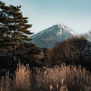 第一滴泪 (烟嗓版)