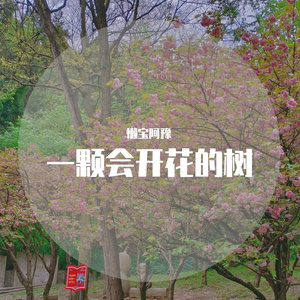 一棵会开花的树