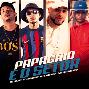 Papagaio É o Setor