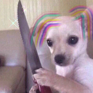 lemon tree（Cover 王若琳）