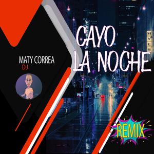 Cayo La Noche (Remix)