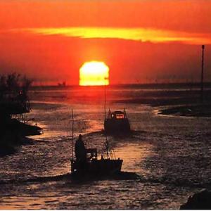 波のように押し寄せて