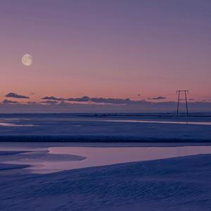 蜜蜂（Cover 万玲琳）