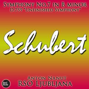 Symphony No.8 "Unfinished Symphony" in E Major, D. 759: II. Andante con moto