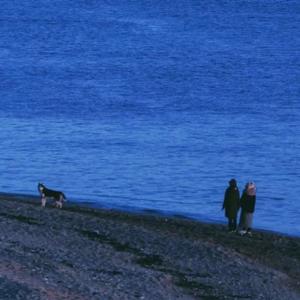 会不会（抖音版）