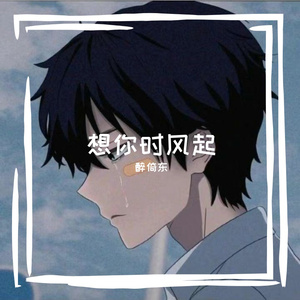 想你时风起