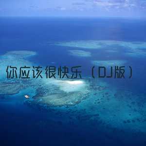你应该很快乐（DJ版）