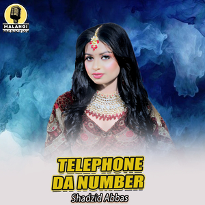 Telephone Da Number (1)