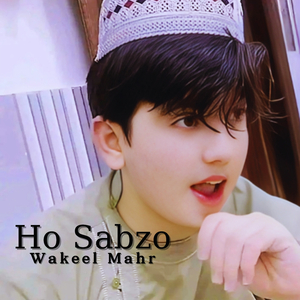 Ho Sabzo
