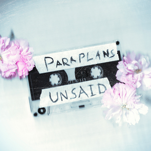 Unsaid
