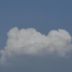 忽然（翻自 李志）