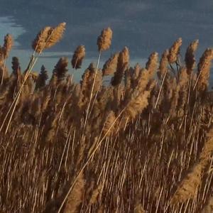 내안에 살아있어